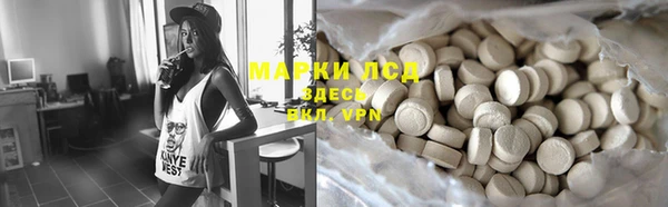 мдпв Магас