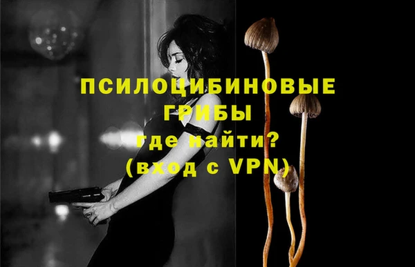 бутират Шадринск