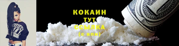 мдпв Магас