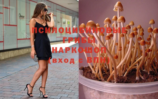 мдпв Магас