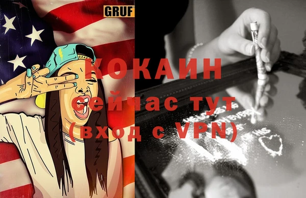 мдпв Магас