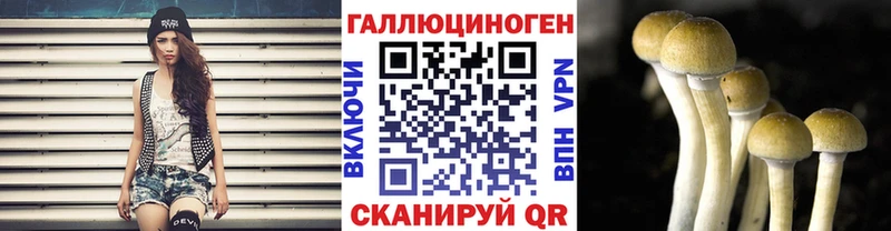 KRAKEN ссылки  Циолковский  Галлюциногенные грибы прущие грибы 