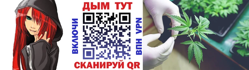 kraken рабочий сайт  Циолковский  Канабис план  закладка 